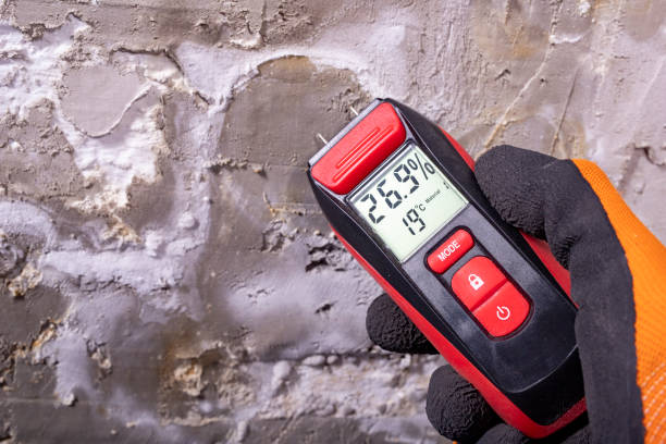 Best Crawl Space Mold Removal  in , MA